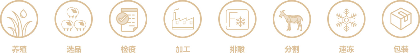 icon46.jpg